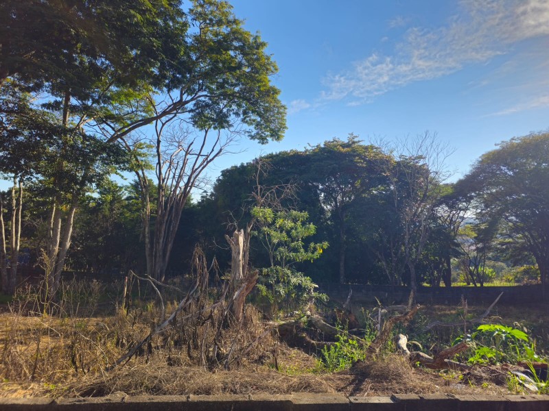 Terreno Ouro Verde 3